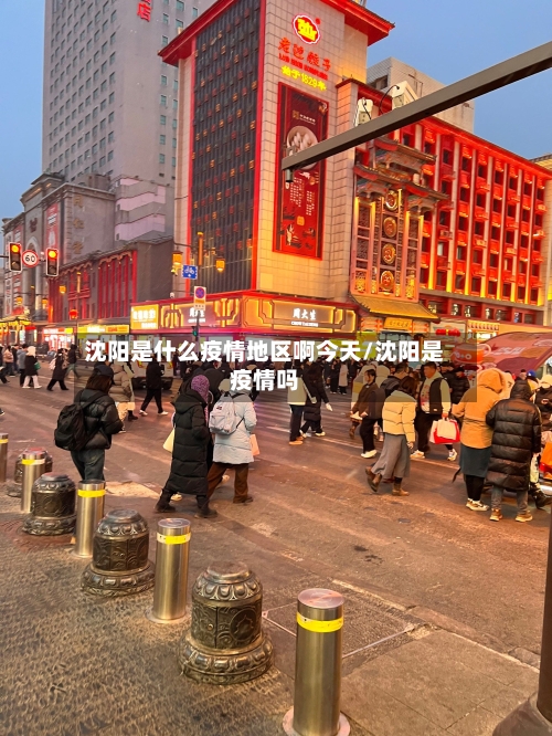沈阳是什么疫情地区啊今天/沈阳是疫情吗-第2张图片