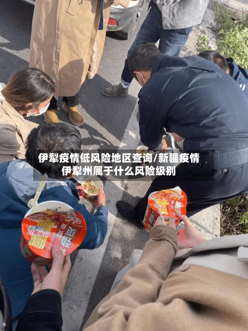 伊犁疫情低风险地区查询/新疆疫情伊犁州属于什么风险级别-第3张图片