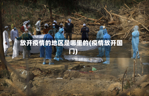 放开疫情的地区是哪里的(疫情放开国门)