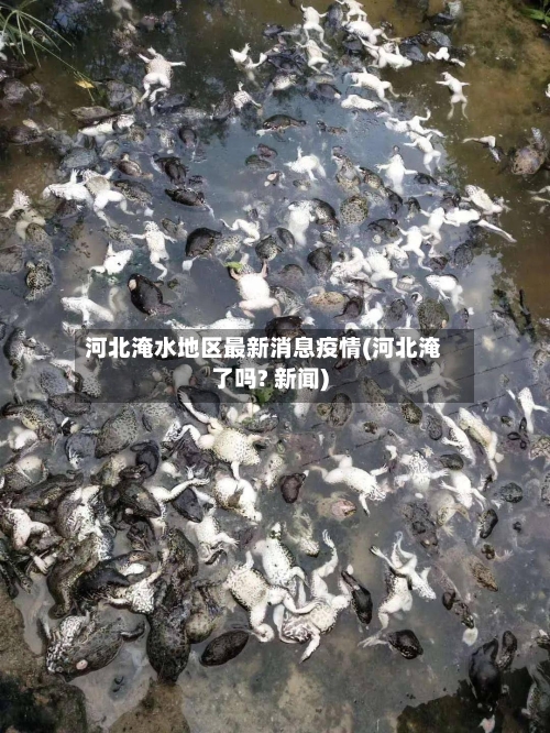 河北淹水地区最新消息疫情(河北淹了吗? 新闻)-第3张图片