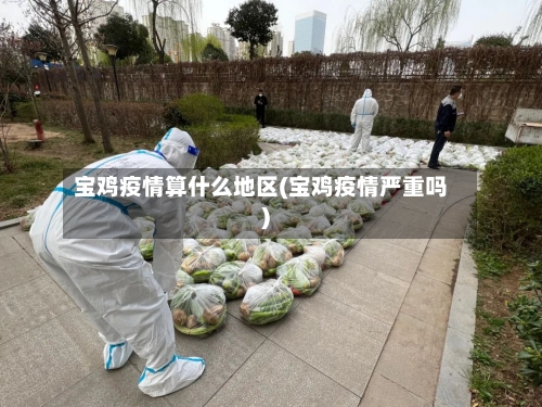 宝鸡疫情算什么地区(宝鸡疫情严重吗)-第3张图片