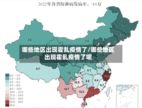 哪些地区出现霍乱疫情了/哪些地区出现霍乱疫情了呢-第2张图片