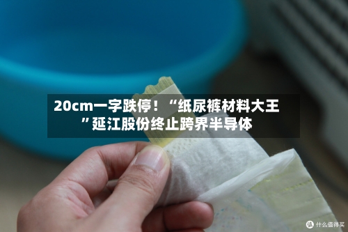 20cm一字跌停！“纸尿裤材料大王”延江股份终止跨界半导体-第2张图片