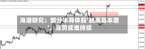 海港研究：部分半导体股‘脱离基本面’，涨势或难持续-第2张图片