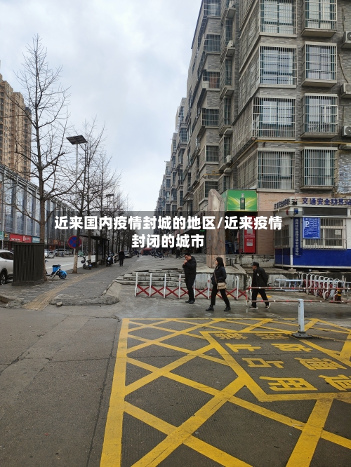 近来国内疫情封城的地区/近来疫情封闭的城市