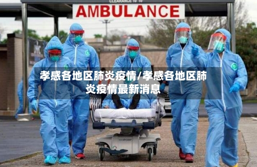 孝感各地区肺炎疫情/孝感各地区肺炎疫情最新消息-第2张图片