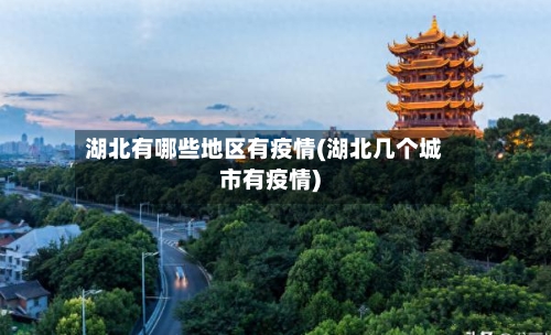湖北有哪些地区有疫情(湖北几个城市有疫情)-第2张图片