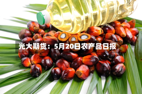 光大期货:5月20日农产品日报-第2张图片